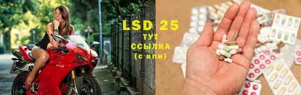 индика Алексеевка