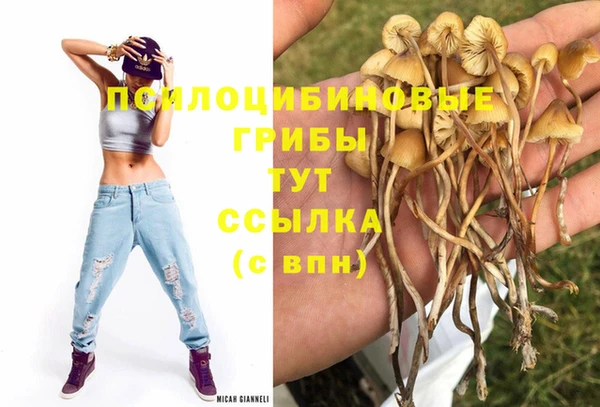 ECSTASY Алексин