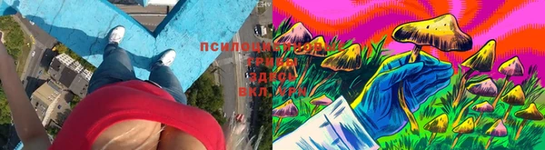 ECSTASY Алексин